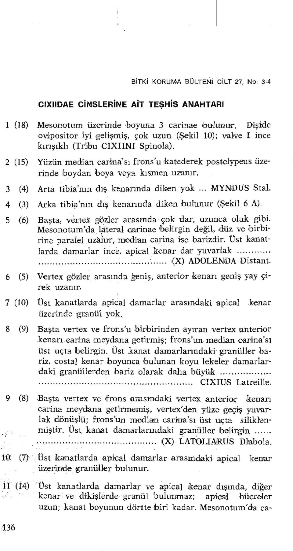 3 (4) Arta tibianm dış kenarında diken yak... MYNDUS Stal. 4 (3) Arka tibianm dış kenarında diken bulunur (Şekil 6 A). 5 (6) Başta, vertex gözler arasında çok dar, uzunca oluk gibi.