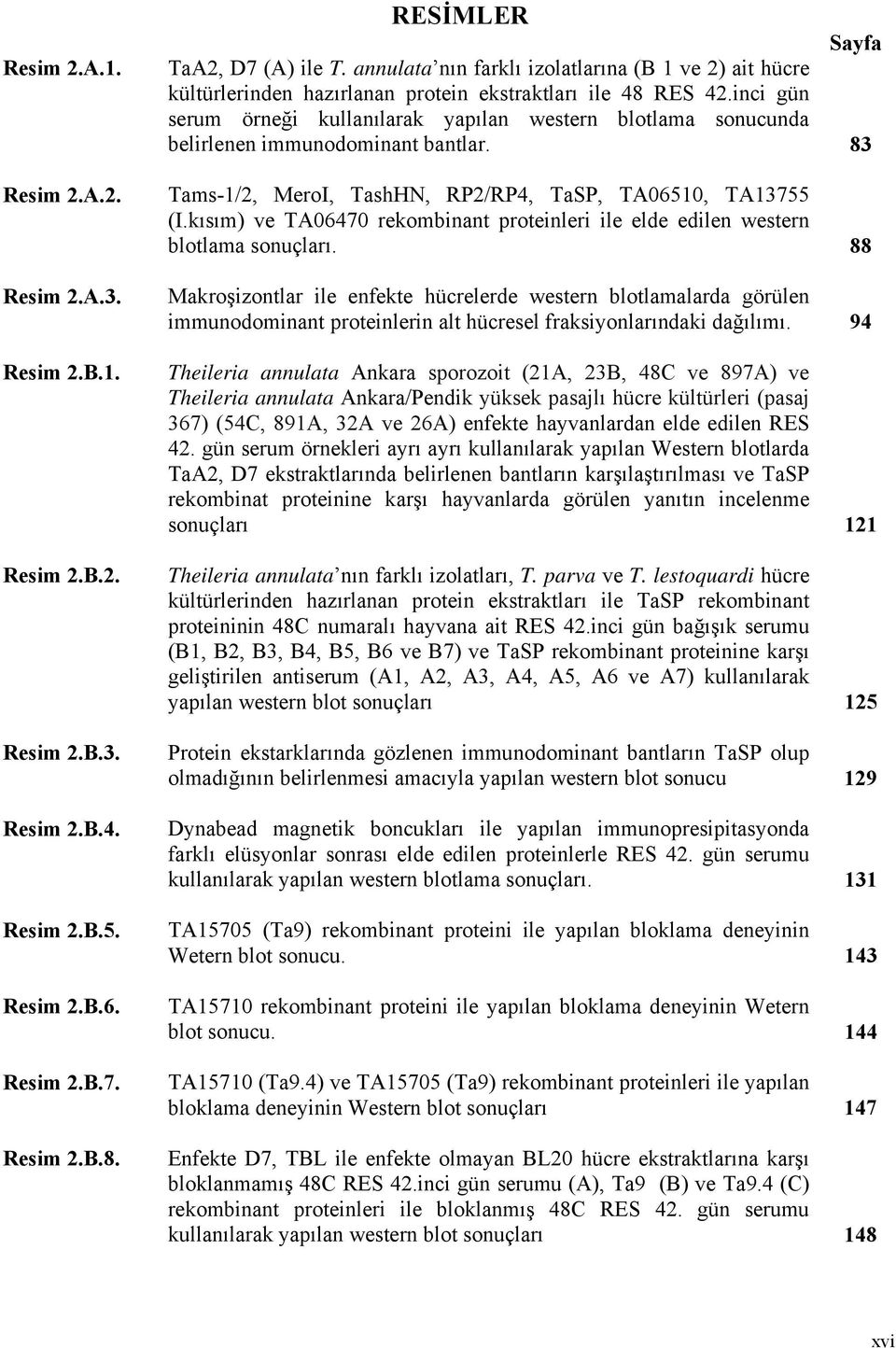 inci gün serum örneği kullanılarak yapılan western blotlama sonucunda belirlenen immunodominant bantlar. 83 Tams-1/2, MeroI, TashHN, RP2/RP4, TaSP, TA06510, TA13755 (I.