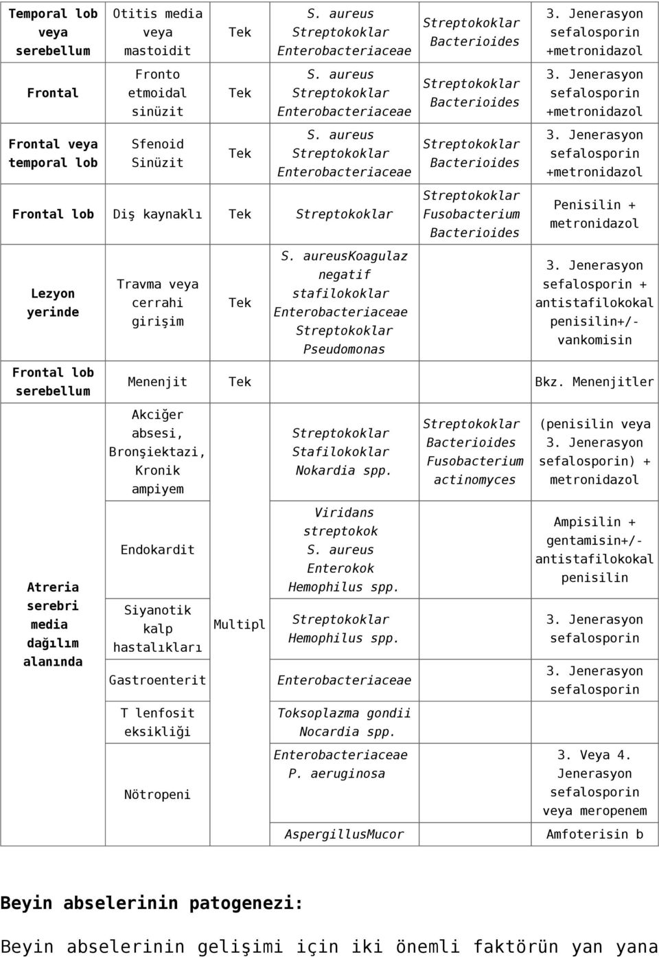 Jenerasyon sefalosporin +metronidazol Frontal veya temporal lob Sfenoid Sinüzit Tek S. aureus Streptokoklar Enterobacteriaceae Streptokoklar Bacterioides 3.