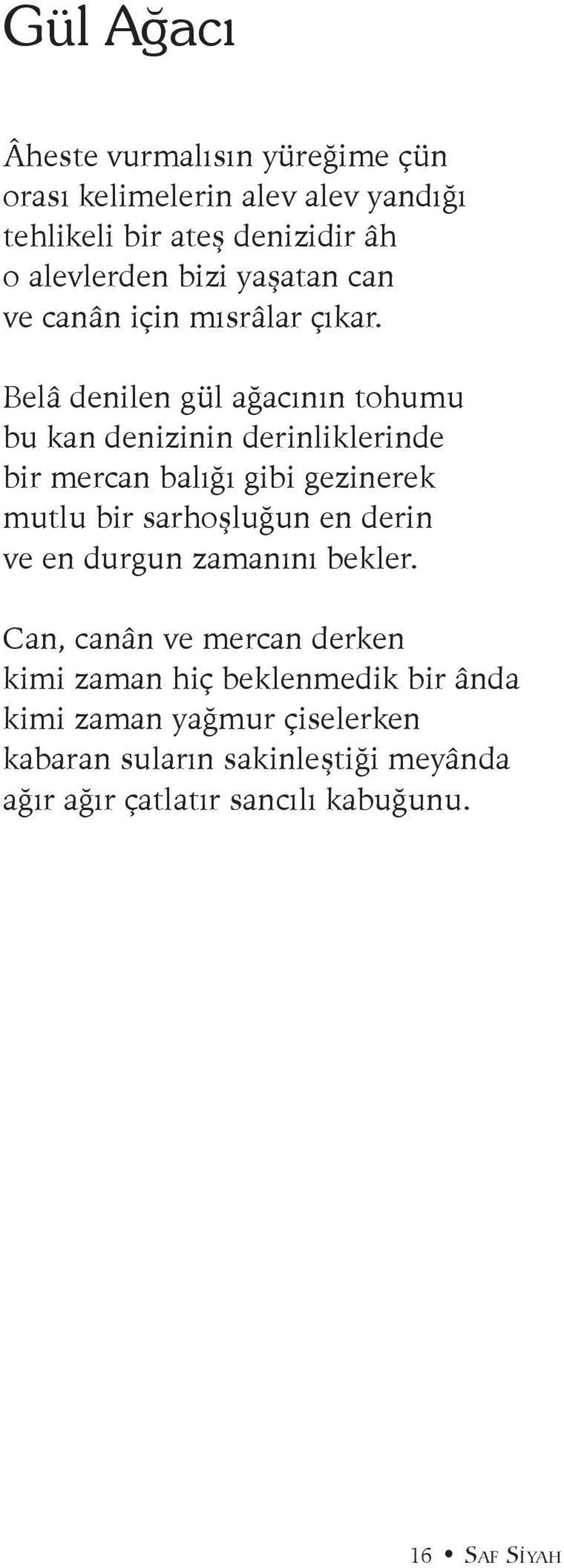 Belâ denilen gül ağacının tohumu bu kan denizinin derinliklerinde bir mercan balığı gibi gezinerek mutlu bir sarhoşluğun en