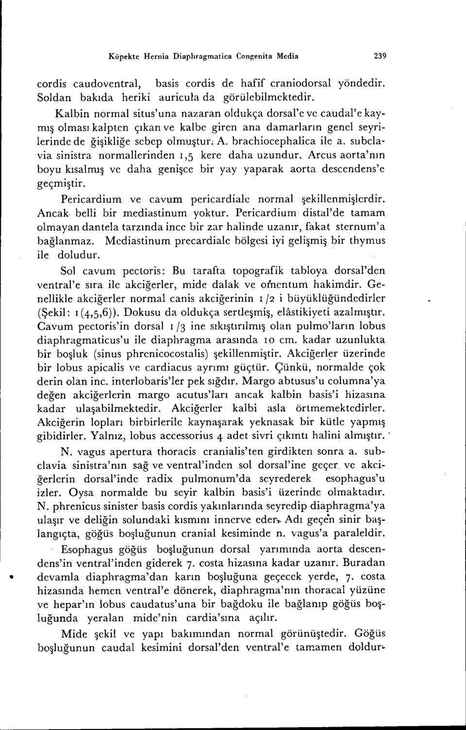 subelavia sinistra normallerinden 1,5 kere daha uzundur. Arcus aorta'nın boyu kısalmış ve daha genişce bir yay yaparak aorta descendens'e geçmiştir.