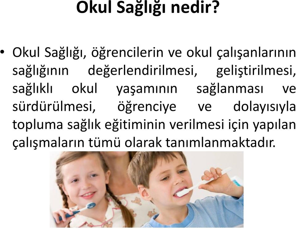 değerlendirilmesi, geliştirilmesi, sağlıklı okul yaşamının sağlanması