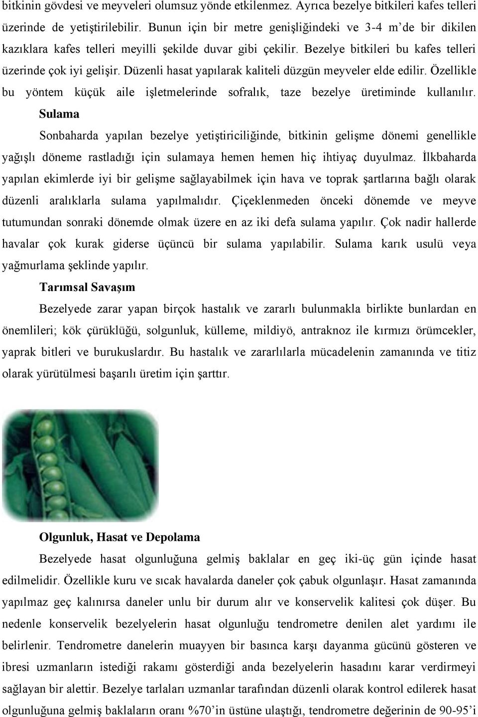 Düzenli hasat yapılarak kaliteli düzgün meyveler elde edilir. Özellikle bu yöntem küçük aile işletmelerinde sofralık, taze bezelye üretiminde kullanılır.