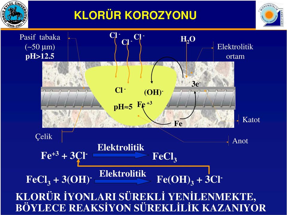 Katot Çelik Fe +3 + 3Cl - Elektrolitik FeCl 3 Anot FeCl 3 + 3(OH) -