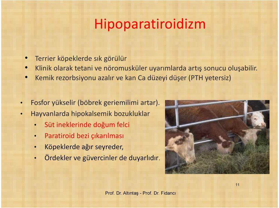 Kemik rezorbsiyonu azalır ve kan Ca düzeyi düşer (PTH yetersiz) Fosfor yükselir (böbrek