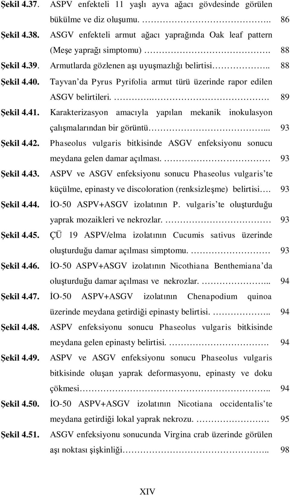 Karakterizasyon amacıyla yapılan mekanik inokulasyon çalışmalarından bir görüntü... 93 Şekil 4.42. Phaseolus vulgaris bitkisinde ASGV enfeksiyonu sonucu meydana gelen damar açılması. 93 Şekil 4.43.