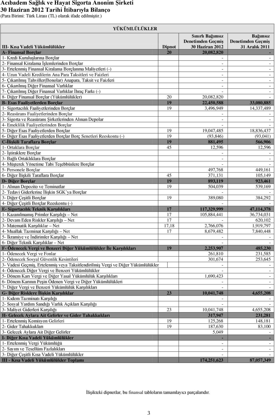 Para Taksitleri ve Faizleri - - 5- Çıkarılmış Tahviller(Bonolar) Anapara, Taksit ve Faizleri - - 6- Çıkarılmış Diğer Finansal Varlıklar - - 7- Çıkarılmış Diğer Finansal Varlıklar İhraç Farkı (-) - -