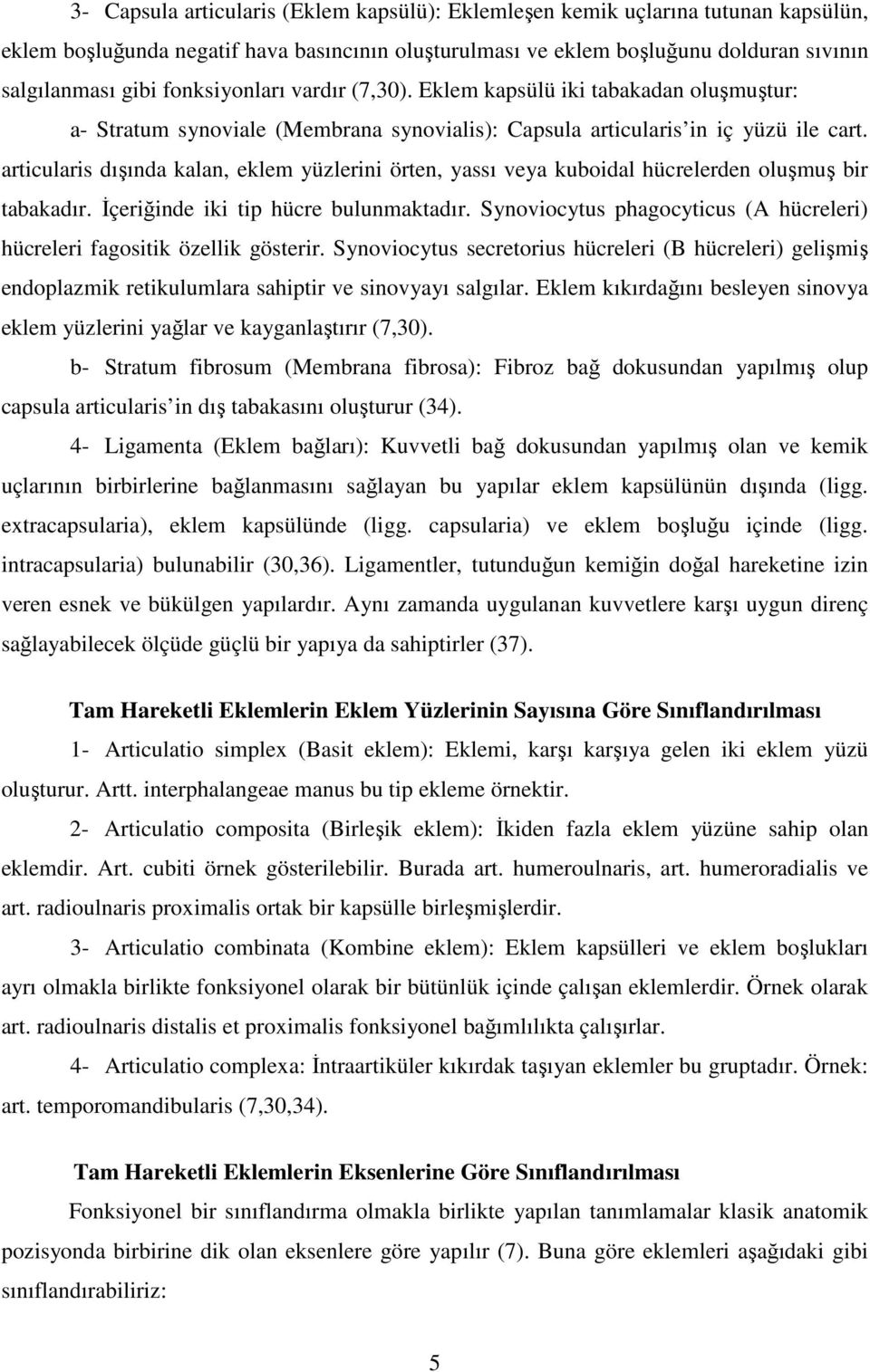 articularis dışında kalan, eklem yüzlerini örten, yassı veya kuboidal hücrelerden oluşmuş bir tabakadır. Đçeriğinde iki tip hücre bulunmaktadır.