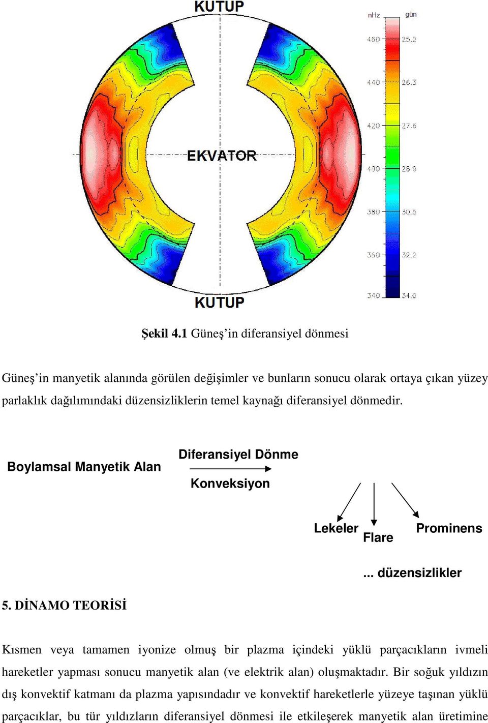 kaynağı diferansiyel dönmedir. Boylamsal Manyetik Alan Diferansiyel Dönme Konveksiyon Lekeler Flare Prominens... düzensizlikler 5.