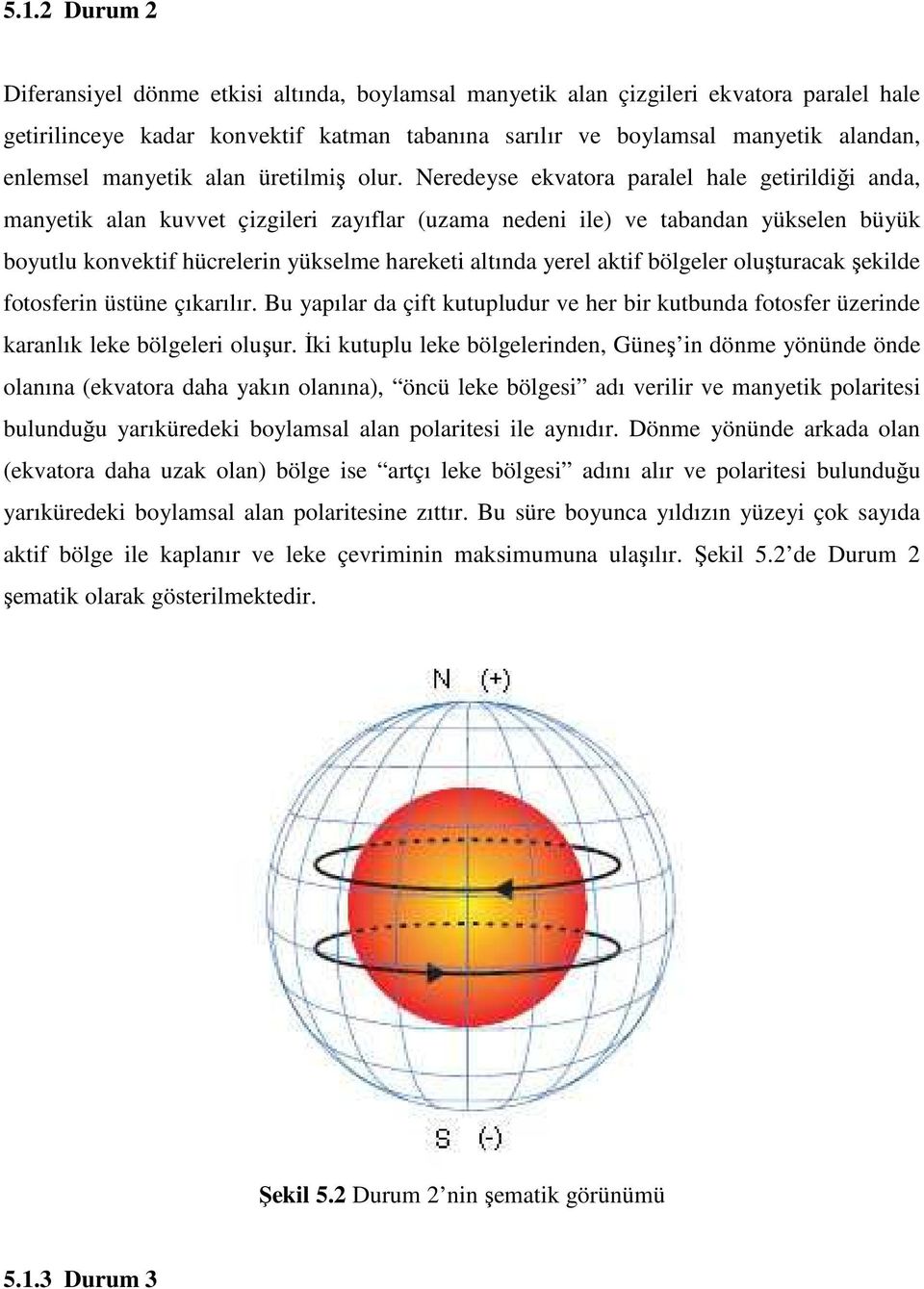 Neredeyse ekvatora paralel hale getirildiği anda, manyetik alan kuvvet çizgileri zayıflar (uzama nedeni ile) ve tabandan yükselen büyük boyutlu konvektif hücrelerin yükselme hareketi altında yerel