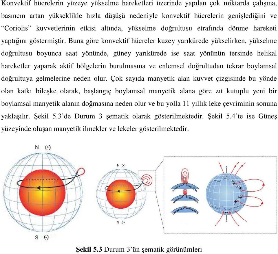 Buna göre konvektif hücreler kuzey yarıkürede yükselirken, yükselme doğrultusu boyunca saat yönünde, güney yarıkürede ise saat yönünün tersinde helikal hareketler yaparak aktif bölgelerin burulmasına