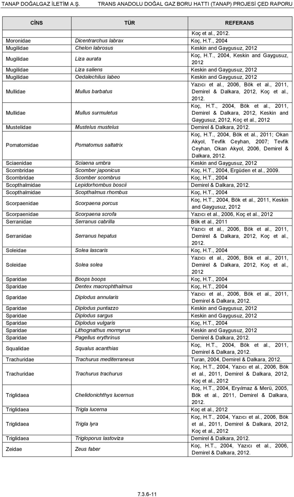 , 2012 Mustelidae Mustelus mustelus Demirel & Dalkara, 2012. Pomatomidae Pomatomus saltatrix Koç, H.T., 2004, Bök et al.