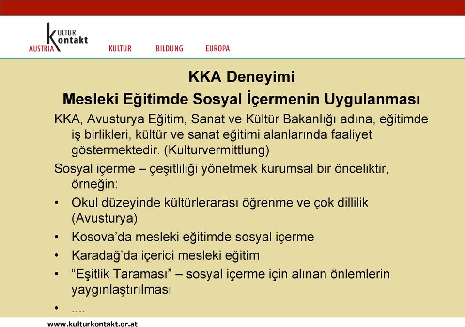 (Kulturvermittlung) Sosyal içerme çeşitliliği yönetmek kurumsal bir önceliktir, örneğin: Okul düzeyinde kültürlerarası öğrenme