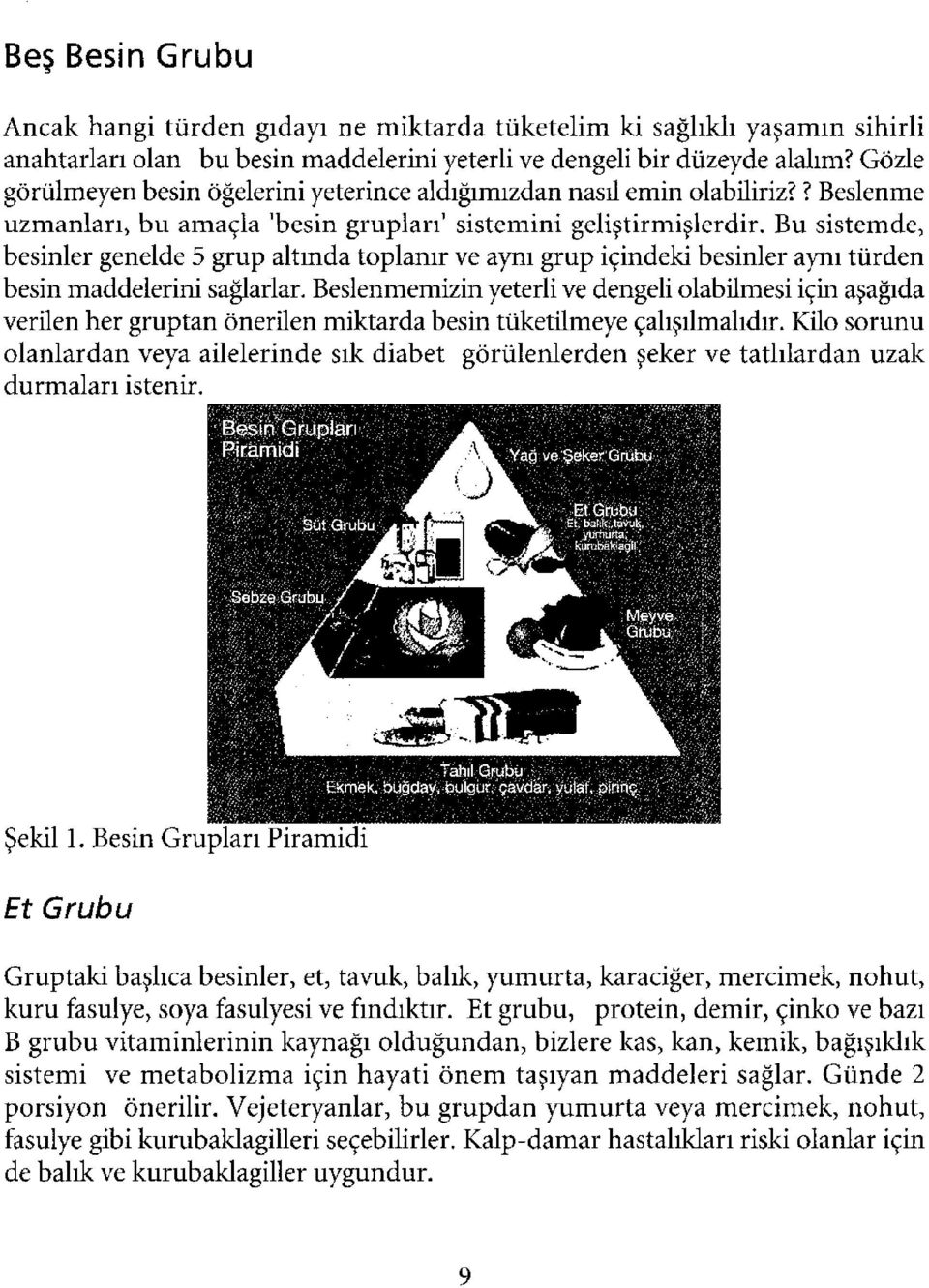 Bu sistemde, besinler genelde 5 grup altında toplanır ve aynı grup içindeki besinler aynı türden besin maddelerini sağlarlar.