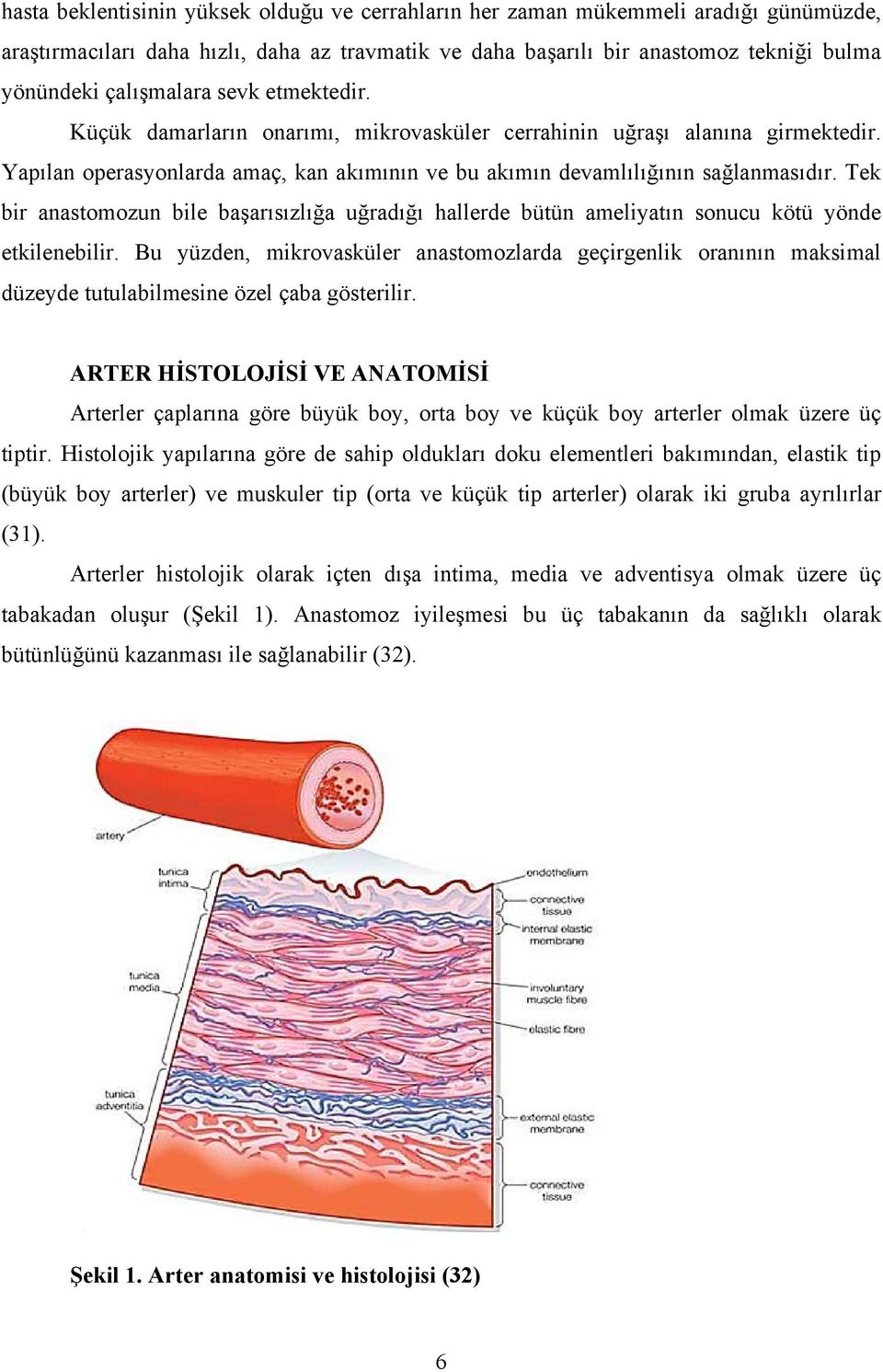 Tek bir anastomozun bile başarısızlığa uğradığı hallerde bütün ameliyatın sonucu kötü yönde etkilenebilir.