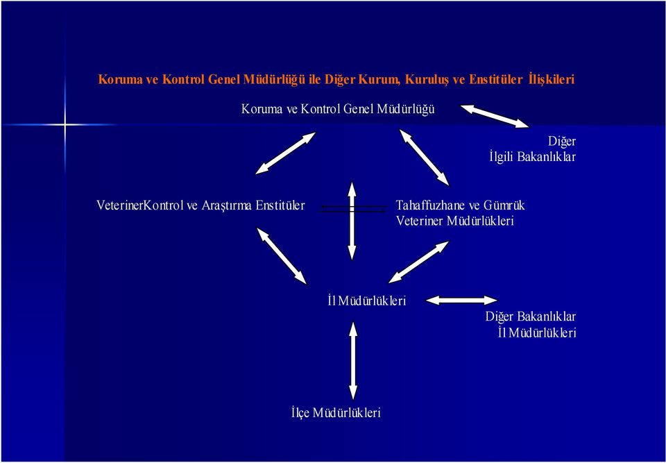 VeterinerKontrol ve Araştırma Enstitüler Tahaffuzhane ve Gümrük Veteriner