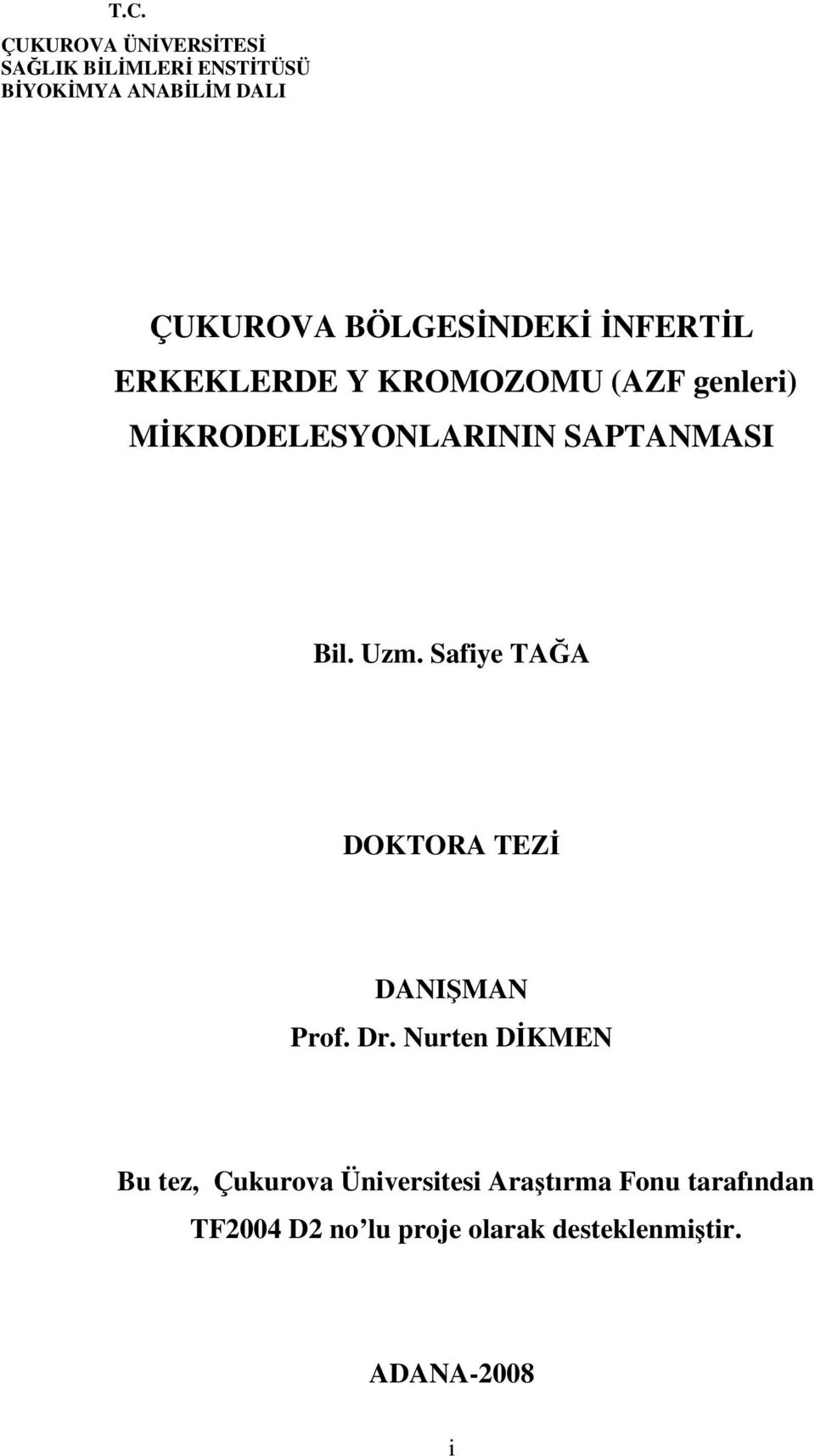 SAPTANMASI Bil. Uzm. Safiye TAĞA DOKTORA TEZİ DANIŞMAN Prof. Dr.