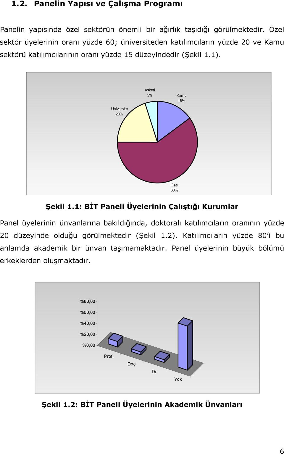 Askeri 5% Kamu 15% Üniversite 20% Özel 60% Şekil 1.