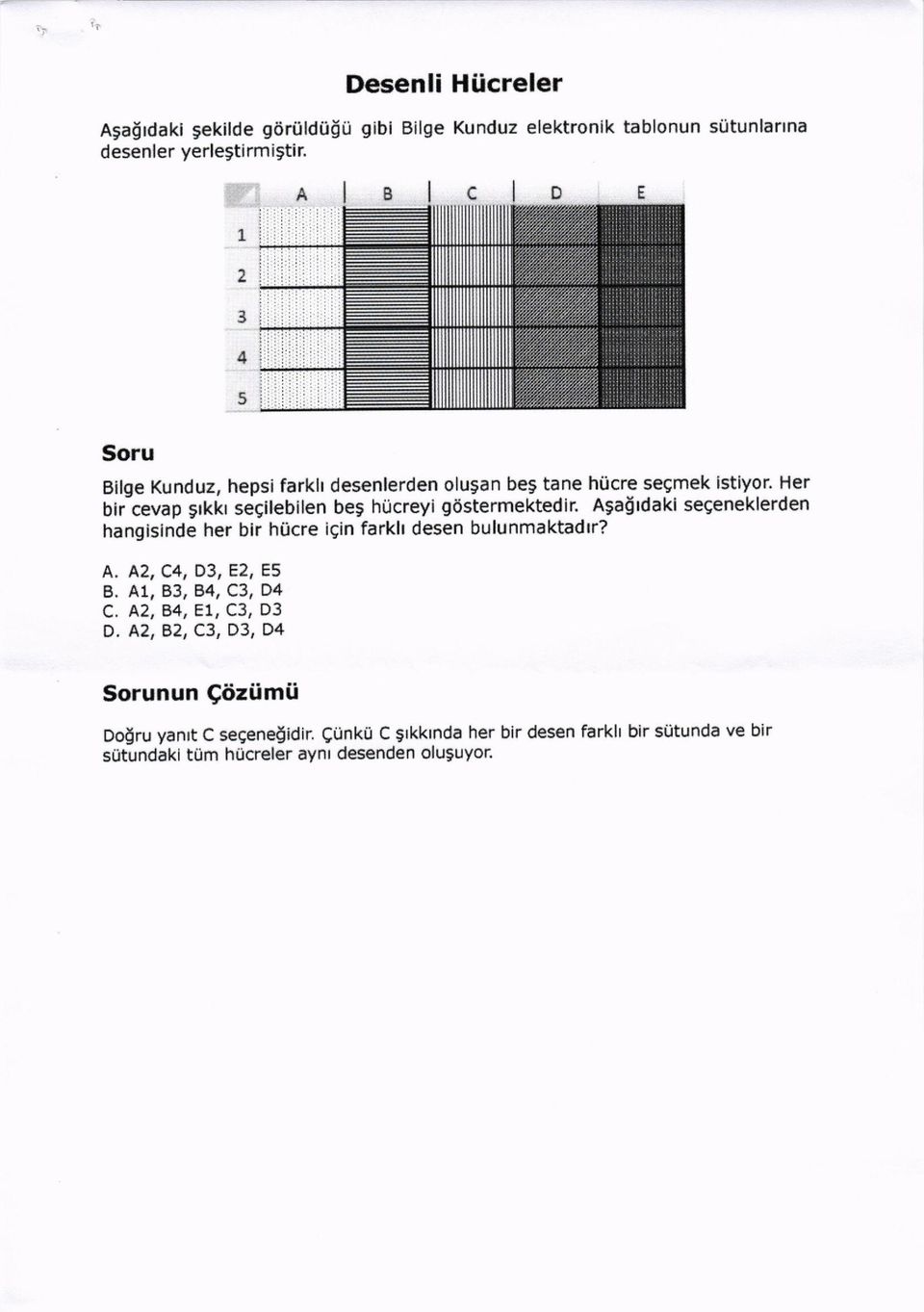 Her biicevap gtkkr segtlebilen beg hricreyi gostermektedir. Agagtdaki seeeneklerden hangisinde her bir hocre igin farkh desen bulunmaktadtr? A. A2, C4, D3, E2, E5 B.