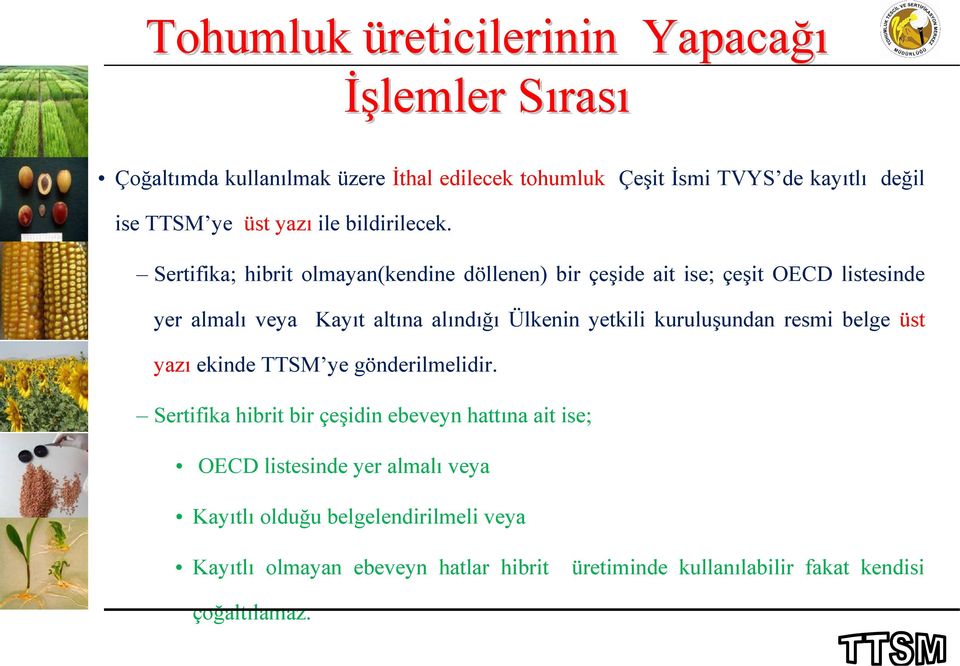 Sertifika; hibrit olmayan(kendine döllenen) bir çeşide ait ise; çeşit OECD listesinde yer almalı veya Kayıt altına alındığı Ülkenin yetkili