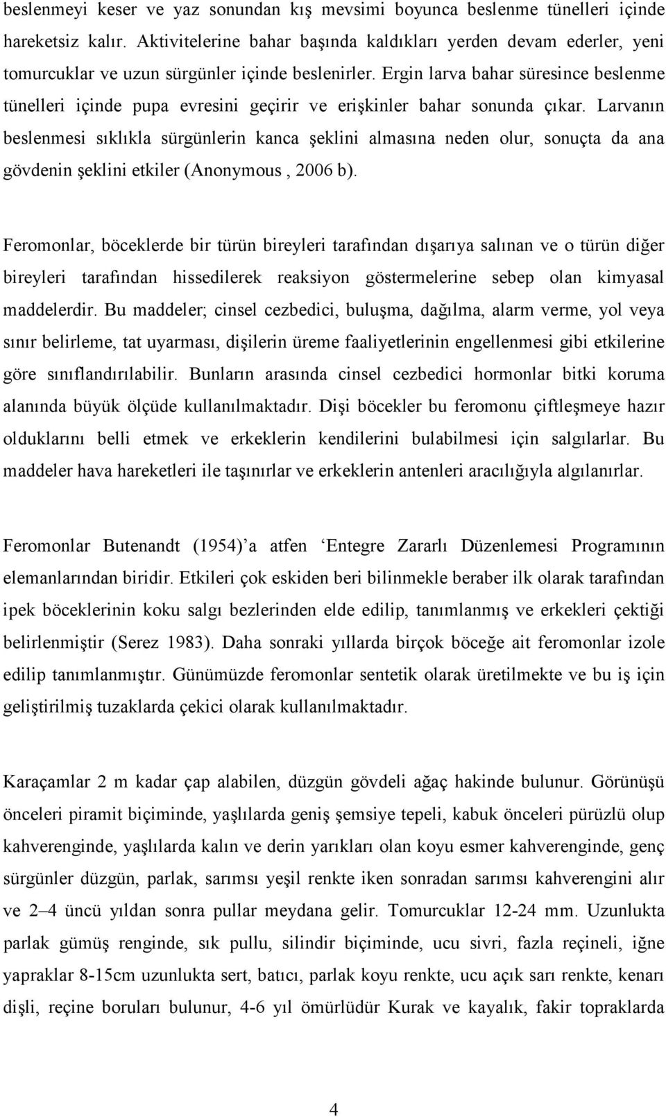 Ergin larva bahar süresince beslenme tünelleri içinde pupa evresini geçirir ve erişkinler bahar sonunda çıkar.