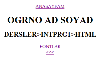 1.4.5 Html Ağaç Yapısı index.html(1) kisisel index.html(2) index.html(3) intprg1 index.html(4) html index.html(5) fontlar Şekil 20 Html Ağaç Yapısı 1.4.5.1 Html Ekran Görüntüsü (index.