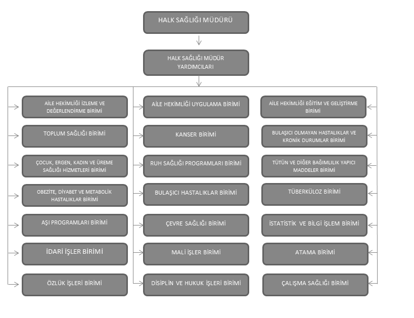Şekil 7: İlçe Sağlık Müdürlüğü Teşkilat Şeması İLÇE SAĞLIK MÜDÜRÜ KAMU SAĞLIK HİZMETLERİ ŞUBE MÜDÜRLÜĞÜ ÖZEL SAĞLIK HİZMETLERİ ŞUBE MÜDÜRLÜĞÜ ECZACILIK VE TIBBİ CİHAZ ŞUBE MÜDÜRLÜĞÜ HALK SAĞLIĞI