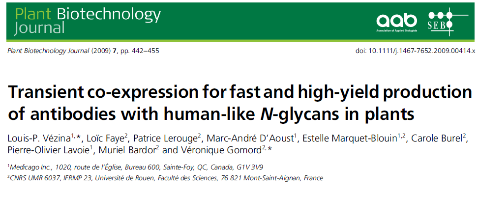 Bitkilerde insandakilere benzer N-glikanları içeren antikorların hızlı ve yüksek miktarda üretimi ve geçici anlatımı Monoklonal antikorlar da dahil olmak üzere pek çok farmasötik proteinler biyolojik