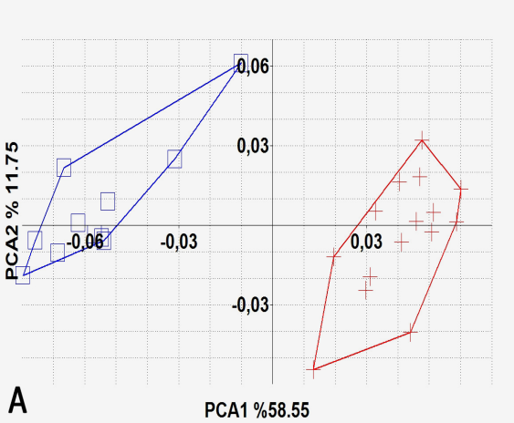 Şekil 2. Her iki türe ait tüm kafa kemiklerinin sağ yarımlarının PCA grafiği ve türlerin kartezyen koordinat sistemindeki lokalizasyonları. A. Dorsal yüz: PCA-1 %58.55, PCA-2 %11.75. B.