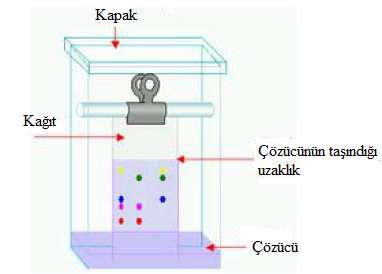 Kâğıt kromatografisinde analiz şöyle yapılır: Analizi yapılacak madde çözeltisinden ince cam kapiler ile bir miktar alınıp istenilen ebatta kesilen Whatman ya da diğer marka kromatografi kâğıdının