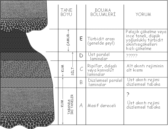 13. Bouma dizilimini çizerek anlatınız. Ta Derecelenmeli tabaka Tb Alt paralel laminasyon Tc Bükümlü laminasyon Td Üst paralel laminasyon Te Tabakalaşma göstermeyen killi kum 14.
