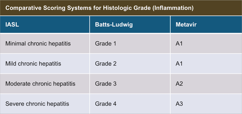 Scoring Systems for Histologic Grade (Inflammation) This table shows three different scoring systems for histologic grade (hepatic inflammation).
