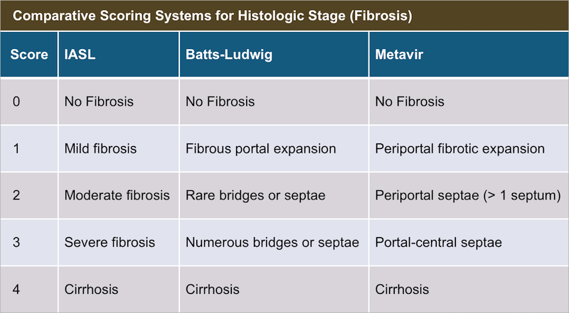 Scoring Systems for Histologic Stage (Fibrosis) This table shows three different scoring systems for histologic stage (fibrosis).