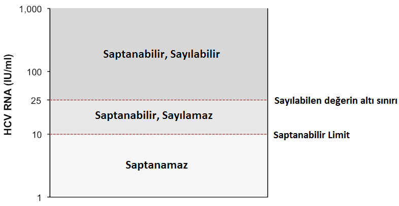 Tedavi Etkinliğinin Takibi Grafikte, HCV RNA değerlerinin saptanabilme ve kantite edilebilme düzeylerinin altı sınırları gösterilmiştir.