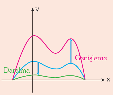 Böylece bir fonksiyonun y leri a katına çıkarılırsa eğri y eksenine yaklaşmaktadır. ÖRNEK : y=f(x)=x olduğuna göre: y=g(x)=2.f(x) fonksiyonunun grafiğini çiziniz.