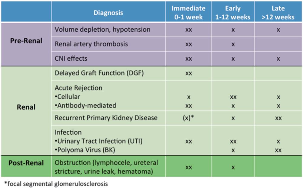 Akut Greft Disfonksiyonu 12 Kidney