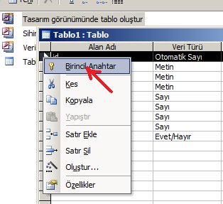 Kaydederken bu şekilde bir ekran çıkarsa Evet dediğimizde kendisi atayacaktır. Yada aşağıdaki gibi birincil anahtar olmasını istediğimiz sütünun üzerine sağ tıklayıp bu atamayı yaparız.