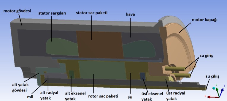 Şekil 3 Modelleme Şekil 1 Salmastrasız pompa ana kısımları Analizi yapılan motor iki adet kaymalı radyal yatak ve iki adet eksenel yatak ile çalışmakta olup ayrıca stator ile motor arasında su