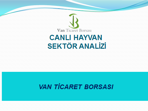 4- Canlı Hayvan