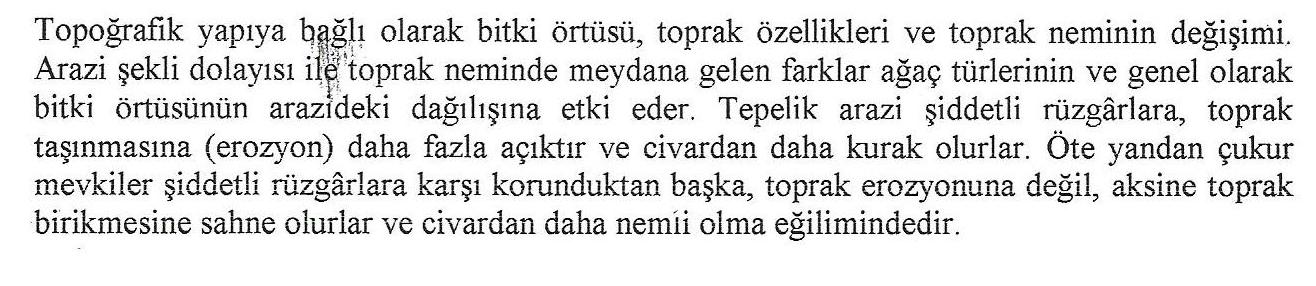 ÜST VEJETASYON TİPLERİ Ağaç yoktur Küçük boylu ağaçların bolca bulunduğu alanlardır. Önemli miktarda ışığın zayıf ve az bir kapalılığa girmesi söz konusudur.