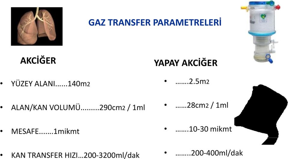 ..1mikmt YAPAY AKCİĞER.2.5m2 28cm2 / 1ml.