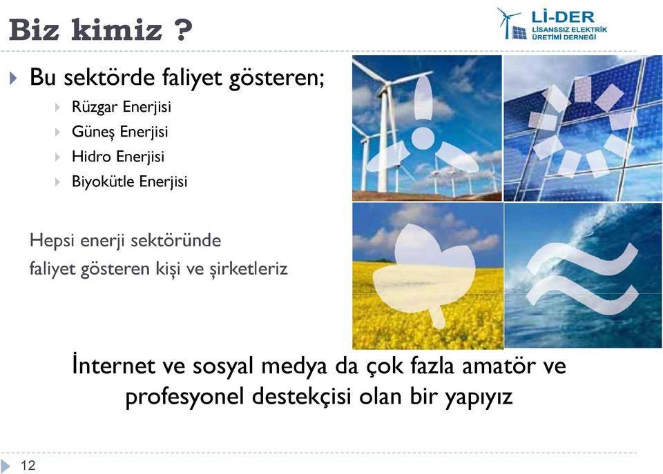 Hidro Enerjisi Biyokütle Enerjisi Hepsi enerji sektöründe