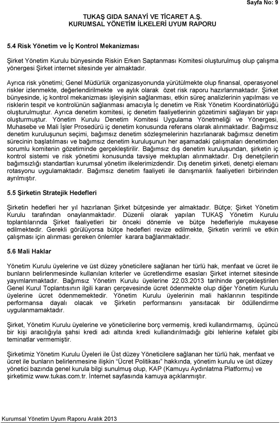 Şirket bünyesinde, iç kontrol mekanizması işleyişinin sağlanması, etkin süreç analizlerinin yapılması ve risklerin tespit ve kontrolünün sağlanması amacıyla İç denetim ve Risk Yönetim Koordinatörlüğü