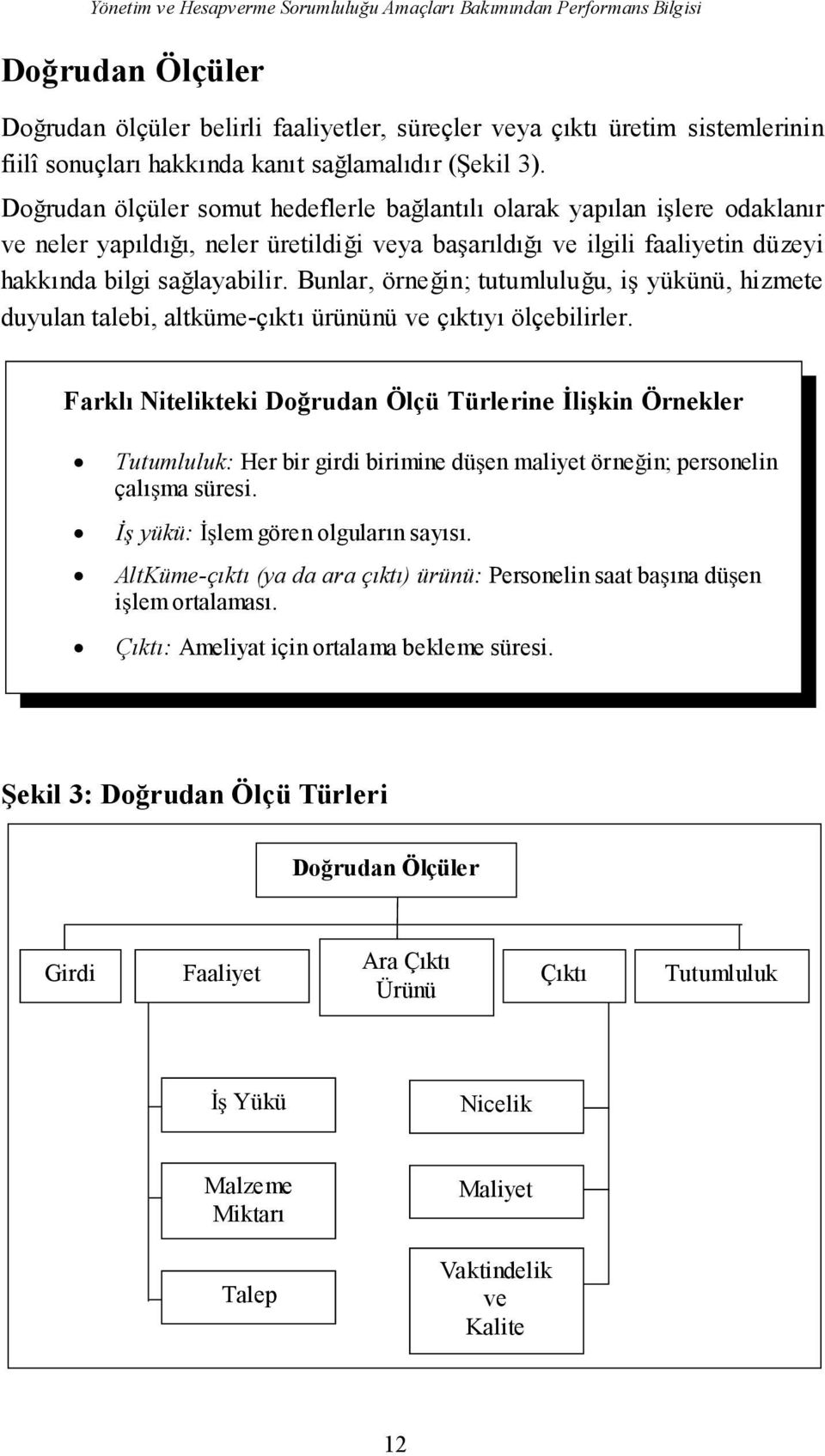 Dorudan ölçüler somut hedeflerle balantılı olarak yapılan ilere odaklanır ve neler yapıldıı, neler üretildii veya baarıldıı ve ilgili faaliyetin düzeyi hakkında bilgi salayabilir.