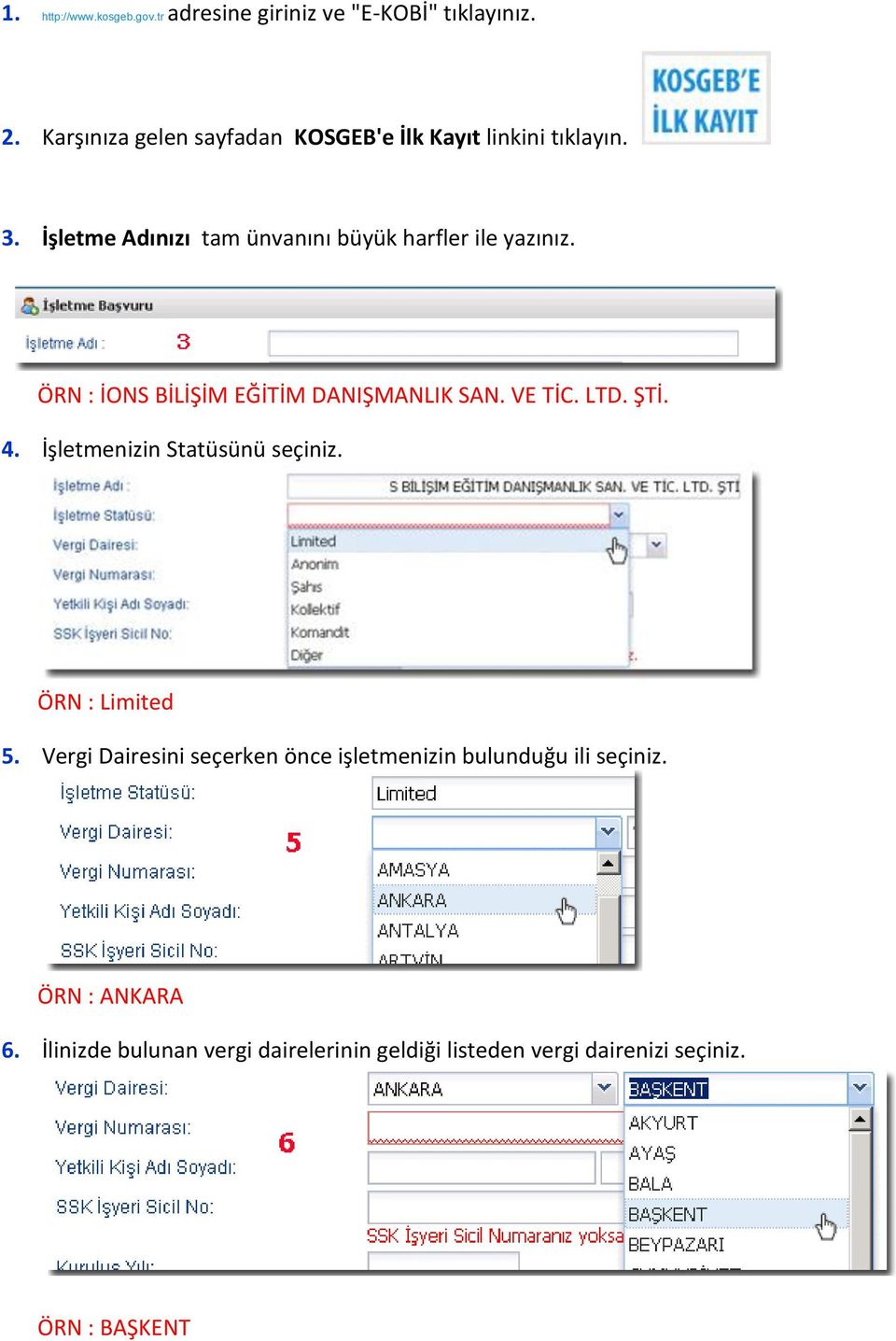 ÖRN : İONS BİLİŞİM EĞİTİM DANIŞMANLIK SAN. VE TİC. LTD. ŞTİ. 4. İşletmenizin Statüsünü seçiniz. ÖRN : Limited 5.