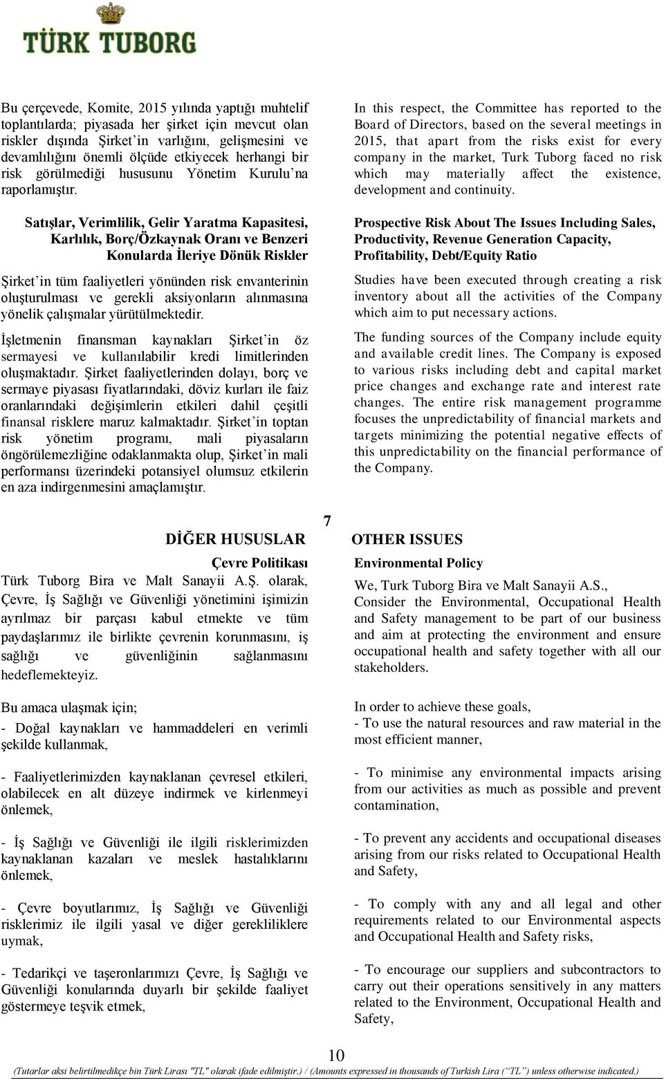 Satışlar, Verimlilik, Gelir Yaratma Kapasitesi, Karlılık, Borç/Özkaynak Oranı ve Benzeri Konularda İleriye Dönük Riskler Şirket in tüm faaliyetleri yönünden risk envanterinin oluşturulması ve gerekli