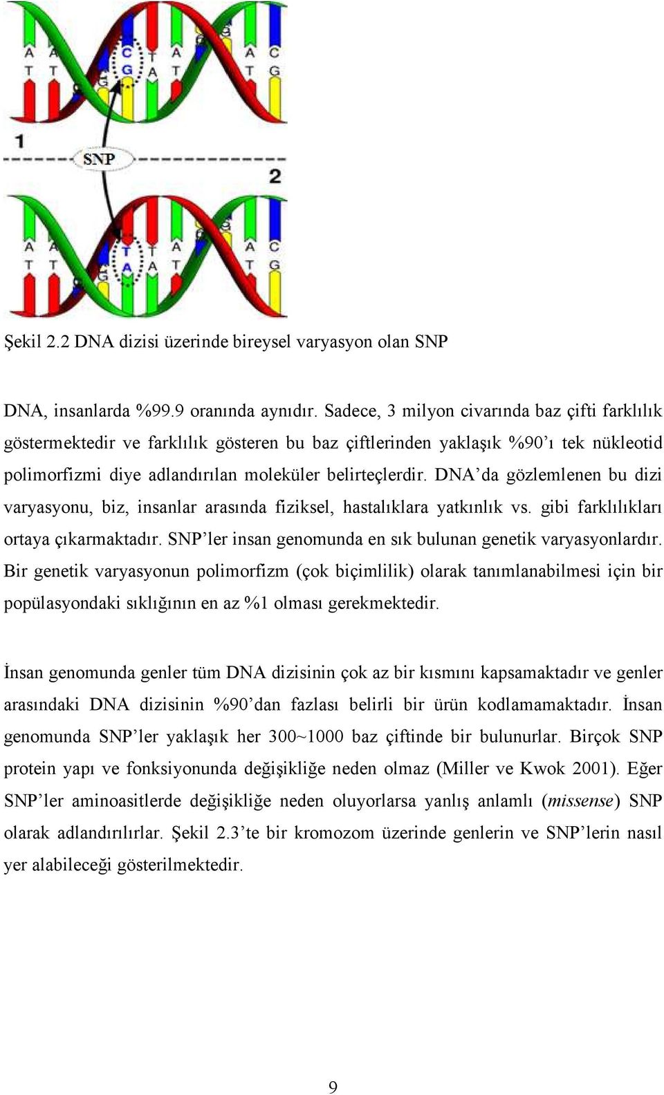 DNA da gözlemlenen bu dizi varyasyonu, biz, insanlar arasında fiziksel, hastalıklara yatkınlık vs. gibi farklılıkları ortaya çıkarmaktadır.