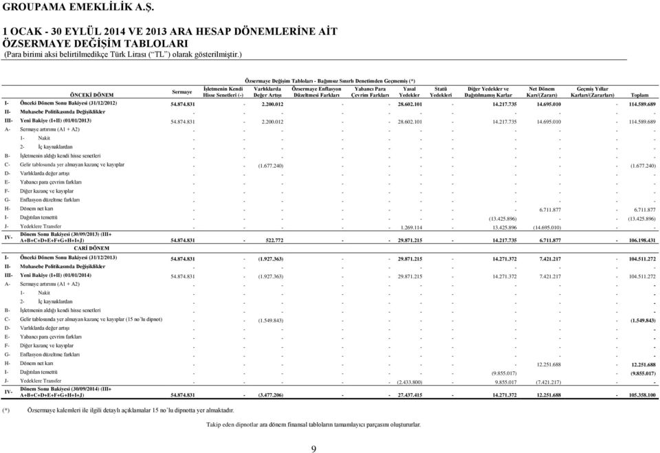 Karı/(Zararı) Geçmiş Yıllar Karları/(Zararları) I- Önceki Dönem Sonu Bakiyesi (31/12/2012) 54.874.831-2.200.012 28.602.101-14.217.735 14.695.010-114.589.