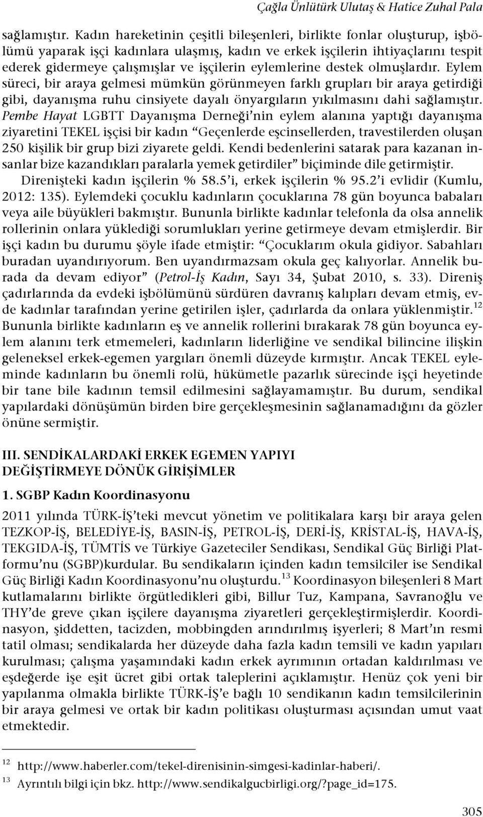 eylemlerine destek olmu#lardır. Eylem süreci, bir araya gelmesi mümkün görünmeyen farklı grupları bir araya getirdi!i gibi, dayanı#ma ruhu cinsiyete dayalı önyargıların yıkılmasını dahi sa!lamı#tır.