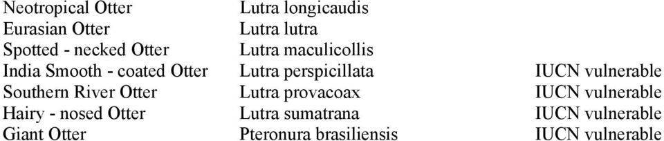 vulnerable Southern River Otter Lutra provacoax IUCN vulnerable Hairy - nosed